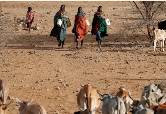 Как исламские финансы помогают в кризис