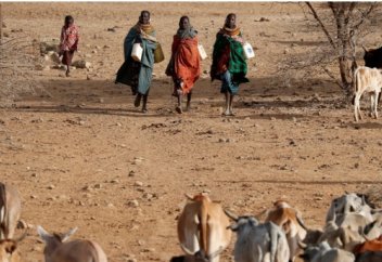 Как исламские финансы помогают в кризис