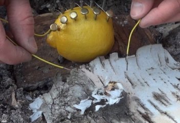 Лимонның көмегімен де от тұтатуға болады (ВИДЕО)