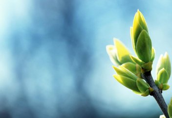 Примеры жизни после смерти