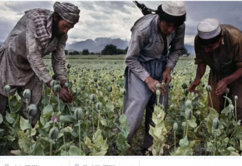 Талибы последние 20 лет получали больше доходов от налогов на топливо и сигареты, чем от торговли наркотиками - СМИ