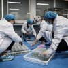Әлемдік мұхиттың жылынуы климат дағдарысын тереңдетеді