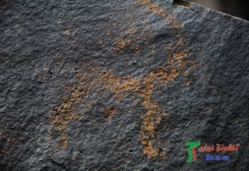 ШИНЖИЯҢ: МОРГУ ТАУЫНАН ЖАРТАС СУРЕТТЕРІ ТАБЫЛДЫ (ЭКСКЛЮЗИВ)