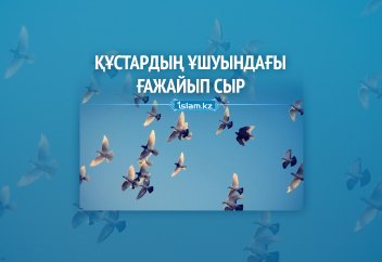 Құстардың ұшуындағы ғажайып сыр