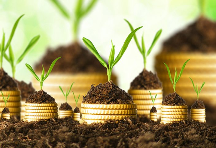 Иран достиг почти полной самообеспеченности в сельскохозяйственной отрасли