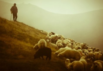 Таң мен түн