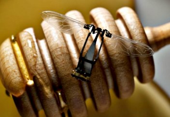 Араларды алмастыратын робот аралар жасалды (видео)