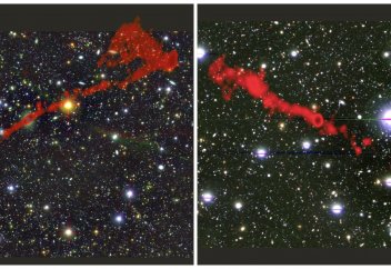 Разные: Ученые смогли редактировать геном у разных тканей и органов