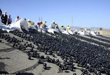 Американдықтар 96 миллион шарды су қоймасына төккен. Неге? (Фото)