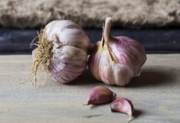 Чеснок, холестерин и иммунитет