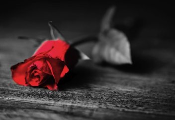 18 аятов о том, что является благом для мусульманина