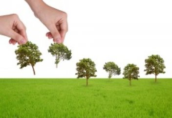 Ученые пришли к выводу, что высадка новых лесов бесполезна