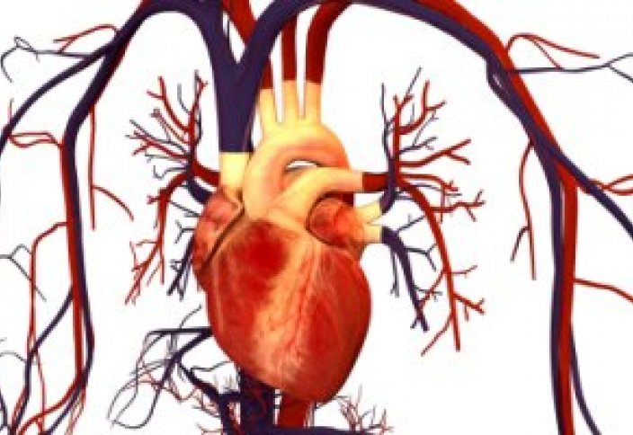 В ОАЭ назвали главные причины смертности населения. В Южной Корее увеличилось число людей с цереброваскулярными заболеваниями