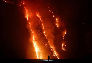 Глобальные лесные пожары показывают человеческие жертвы через внешнюю призму