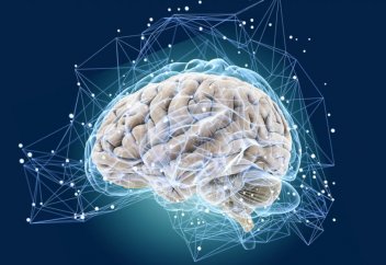 Ғалымдар адамның ойын оқитын технология жасап шығарды