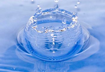 У млекопитающих обнаружилась способность распознавать новый шестой вкус – вкус воды (видео)