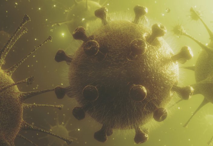 Вирус SARS-CoV-2 как «великий уравнитель»