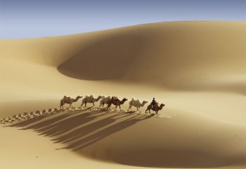 Не дай стране засохнуть: как сохранить водные ресурсы Казахстана