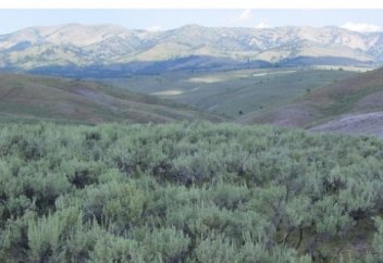 ЖУСАН  ИІСІ.