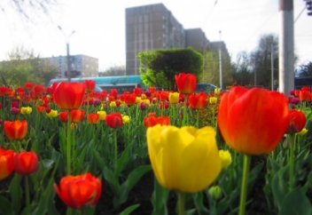 - Қиялисың осы сен... - Білемін...