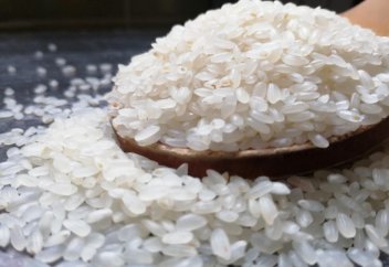 Крупнейший за 20 лет дефицит риса прогнозируют в 2023 году