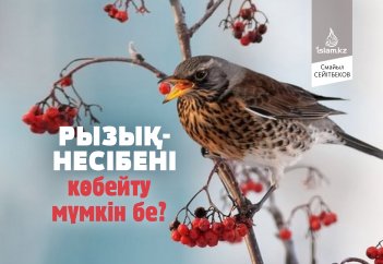 Рызық-несібені көбейту мүмкін бе?