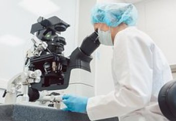 Зақымдалған бүйректі қалпына келтірудің әдісі табылды