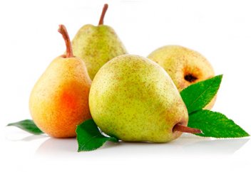 Алмұрттың жемісімен бірге жапырақтары да денсаулыққа пайдалы