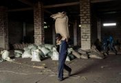 Вооруженные группировки жаждут какао на востоке ДР Конго