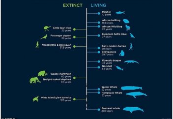 Адамның табиғи өмір сүру ұзақтығы белгілі болды