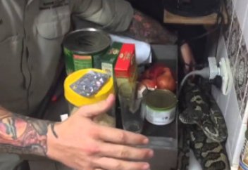 Жануарлар әлемі: Ас үйден мысықты жеп қойған питонды тауып алды (ВИДЕО)