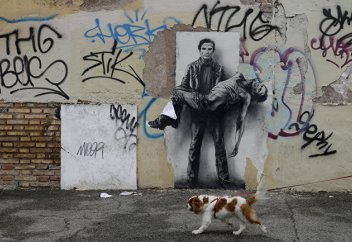 Разное: Кара-ди-Минео: Сальвини выгоняет мигрантов, но помогает собакам (La Repubblica, Италия)