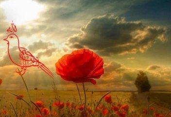 Көктемді қалай өткізу керек?