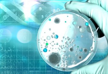 Бактерия иммунитеті адам ДНҚ-дағы өзгерісті қадағалауға көмектеседі