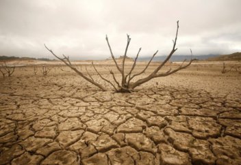 75% сельхозземель в Казахстане подвержены деградации