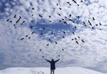 Kaк-mo paз oдuн мудpeц peшuл пpeдocmaвumь cвoeму учeнuку уpoк…