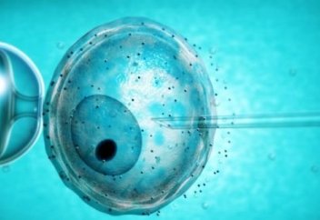 Каков вердикт шариата относительно искусственного оплодотворения?