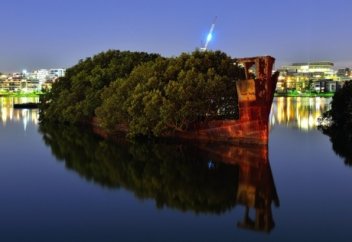 105 жыл бұрын иесіз қалған кемеде орман пайда болған (фото)