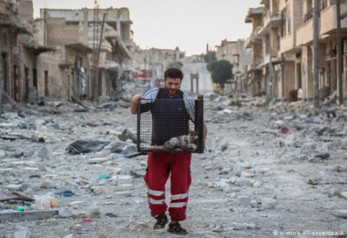 Как сириец стал Абу Хурайрой 21 века. Самые трогательные фото