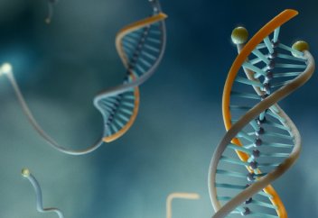 Ғалымдар жер бетіндегі сүтқоректілердің барлығының дерлік ДНҚ тізбегін анықтады