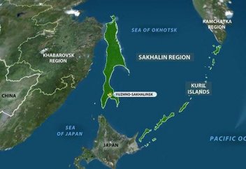 Жапония мен Ресей билігі екі ел арасындағы даулы аралдарға қатысты бейбіт шешімге келудің жолын тапқан секілді. Қалай?