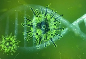 Аса қауіпті вирустарға қарсы ген табылды