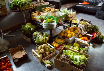 Еуропалық елде сатылмай қалған азық-түлікті қоқысқа тастауға тыйым салатын заң жобасы мақұлданды