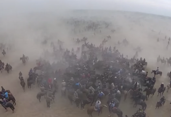 Сарыағаштағы көкпар Гиннесс рекордын орнатты (видео)