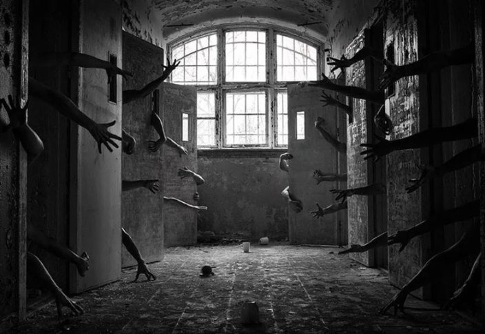 Түрмеде тұтқындарды иттер емес... қаздар күзетеді (видео)