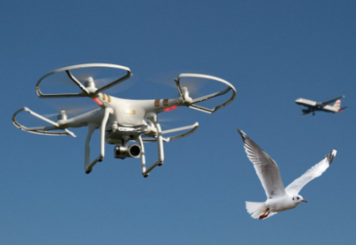 Инновациядан темір торға: дрон ұшыруға қылмыстық жауапкершілік енгізеді