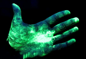 Жапондар «тірі» тері ойлап тапты