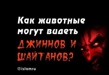 Как животные могут видеть джиннов и шайтанов?