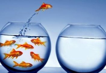 Более 22 тысяч семей переедут с юга на север Казахстана