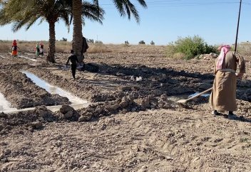 Фермеры в Ираке уходят в пустыню из-за повышения солёности почвы